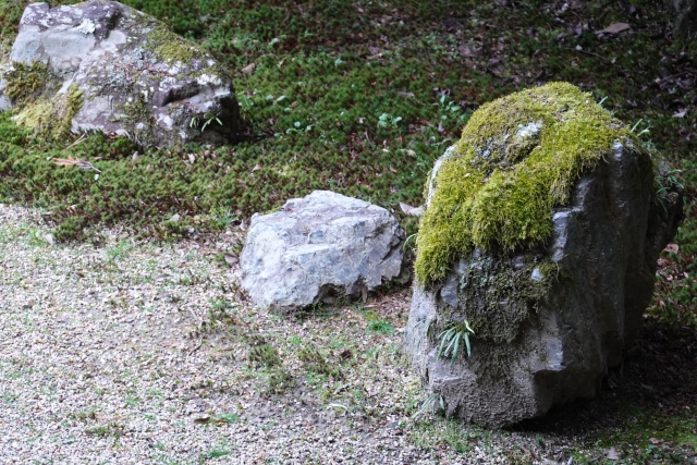 庭いじり初心者必見・『汚水枡』をかさ上げしてみた【失敗なし超簡単