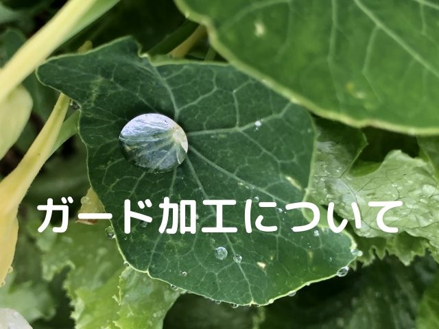 いさん！+ガード加工 しあわせガード5年保証付きはこんな内容です | ＊きもの都粋（といき